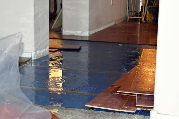 Professional Storm Water Damage Restoration technician working in Peyton, CO